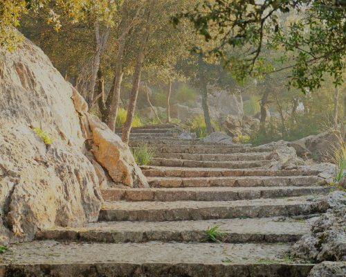 Curso ramjal OPCION A